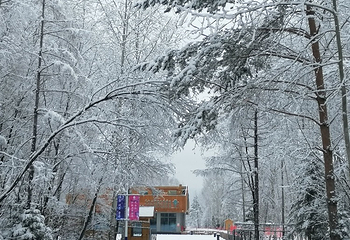 长白山红松王滑雪场第 10 张图片